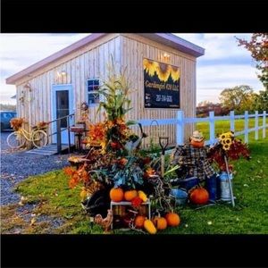 Meet your Posher, Lynne